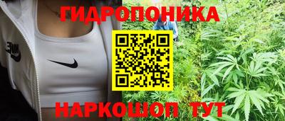 apvp Жуковский